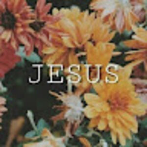 Meet your Posher, Carolyn